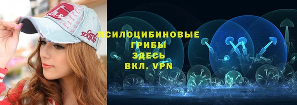 spice Абинск